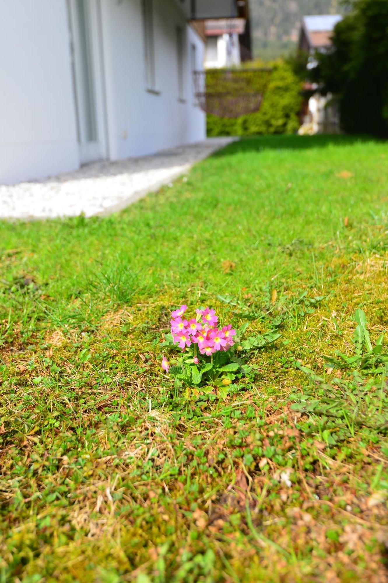 On Zugspitzstrasse *